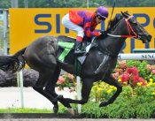 Jockey Soo Khoon Beng makes no mistakes on odds-on favourite Hero Success on Sunday.<br>Photo by Singapore Turf Club